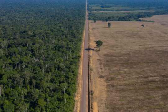 amazonios