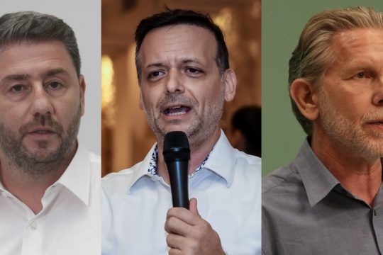 Νίκος Ανδρουλάκης, Χάρης Δούκας, Παύλος Γερουλάνος