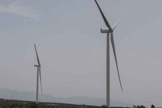 anemogennitries