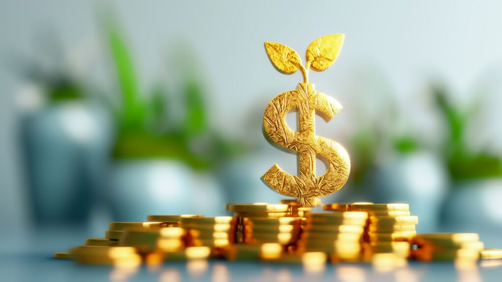 dollaria