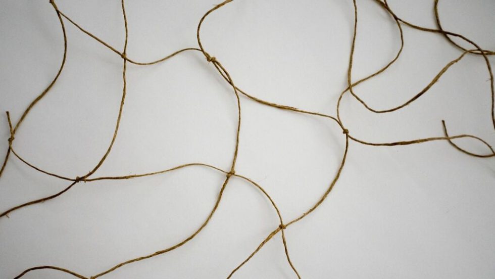 Κλεοπάτρα Τσαλή, «Netting, εικαστικό συμβάν
