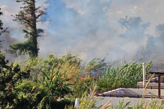 φωτιά στον Πλατανιά Χανίων