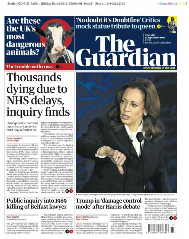 the guardian