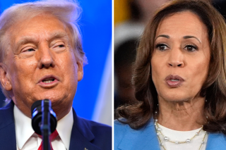 trump-harris