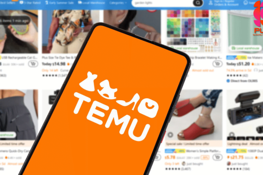 E-commerce | Temu