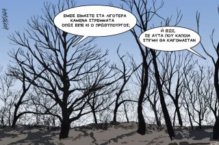 Σκίτσο