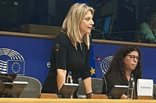 Η Μαρία Καρυστιανού στο Ευρωκοινοβούλιο