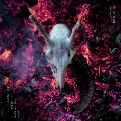 album-colin stetson