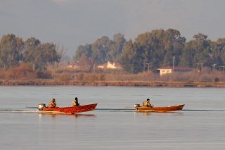 Κυνηγοί επί το έργον