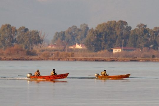 Κυνηγοί επί το έργον