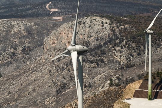 anemogennitries