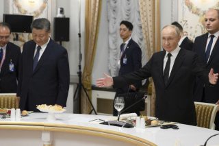 brics-putin