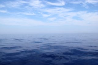 thalassa