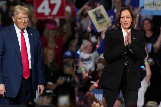 trump-harris