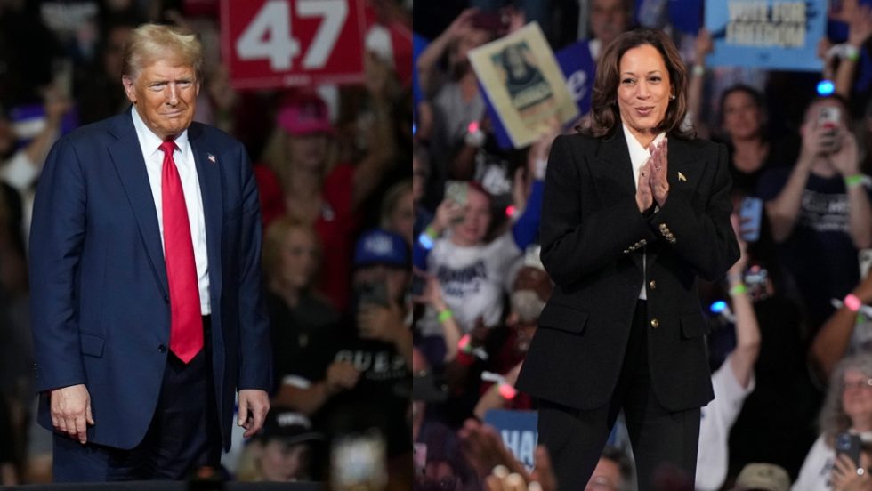 trump-harris