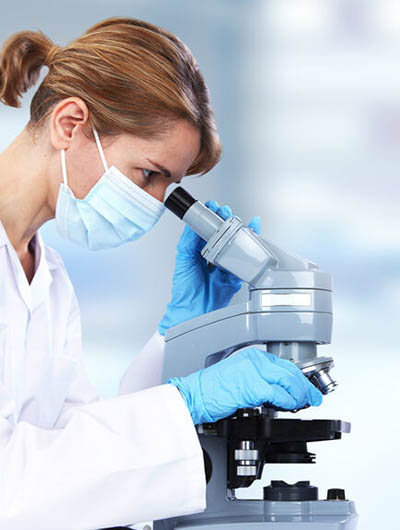 microscopio