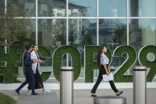 Cop29