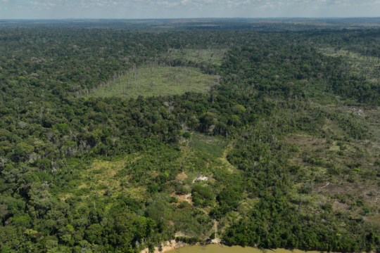 amazonios