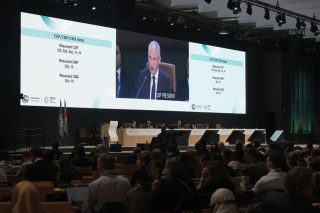 cop29-babagief