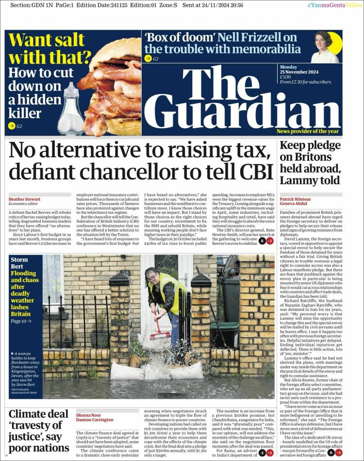 the guardian