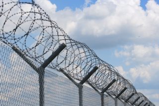 synora-fraxtis