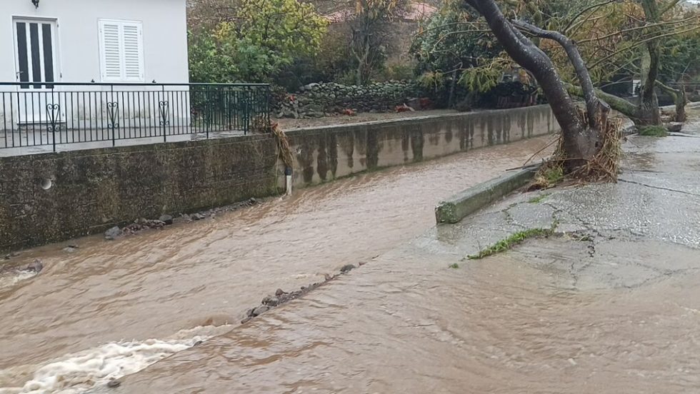 limnos plimires