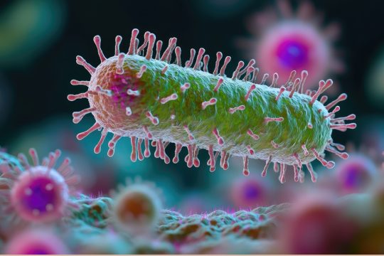 epistimi-erevna