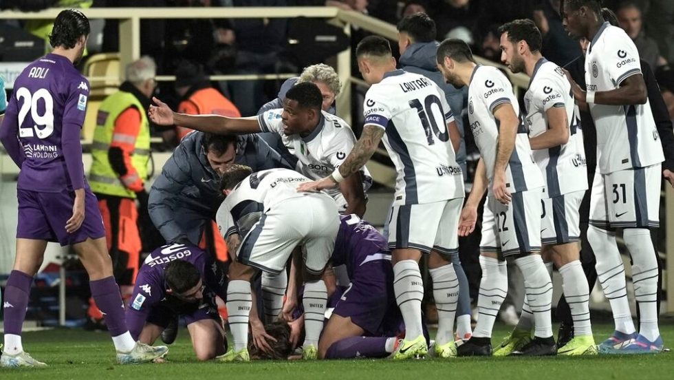 fiorentina-bove