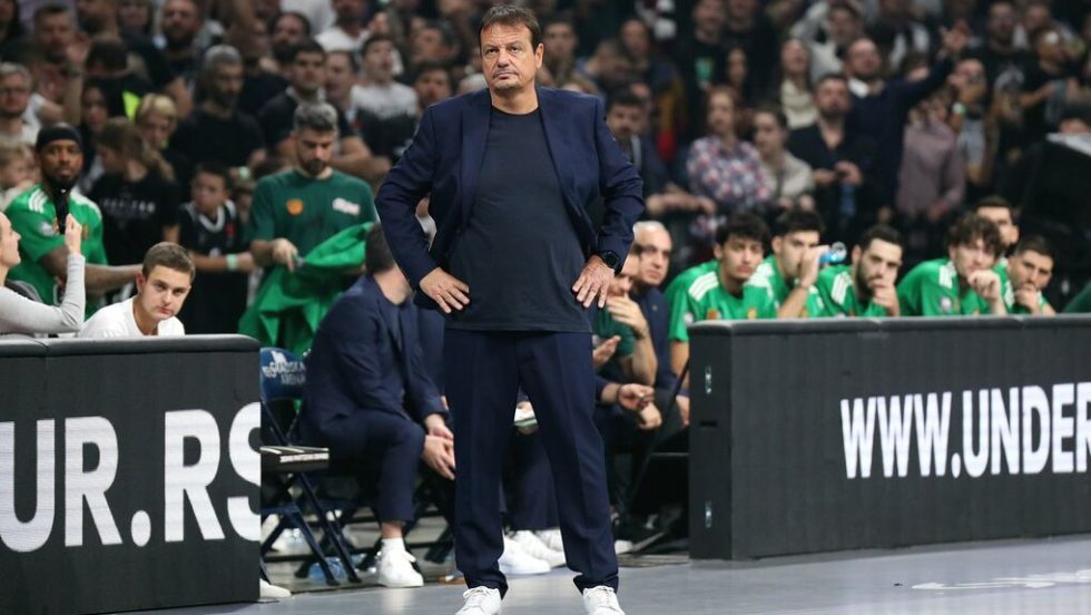 pao-basket