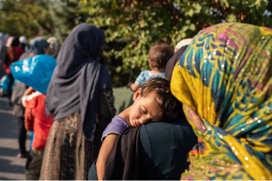 refugees