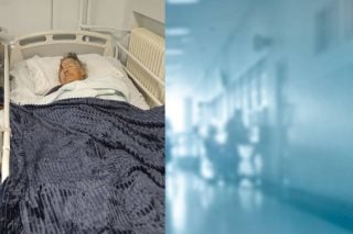 Αν Ρίβερς