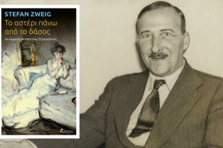 vivlio-zweig