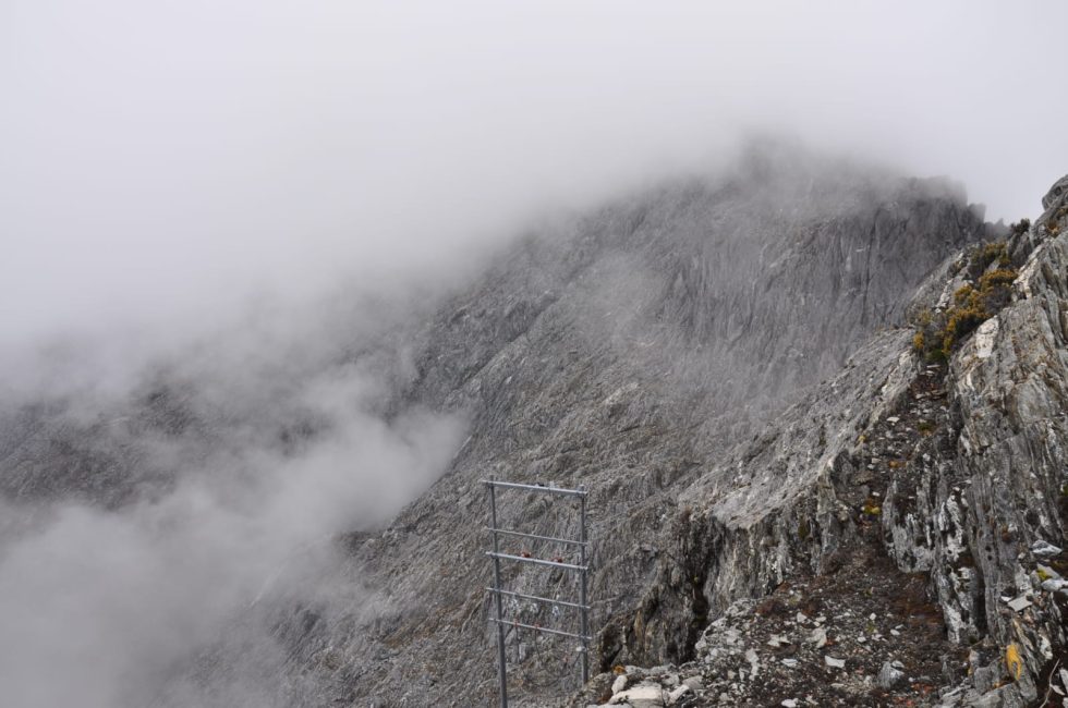 pico_espejo