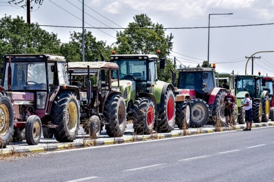 agrotes