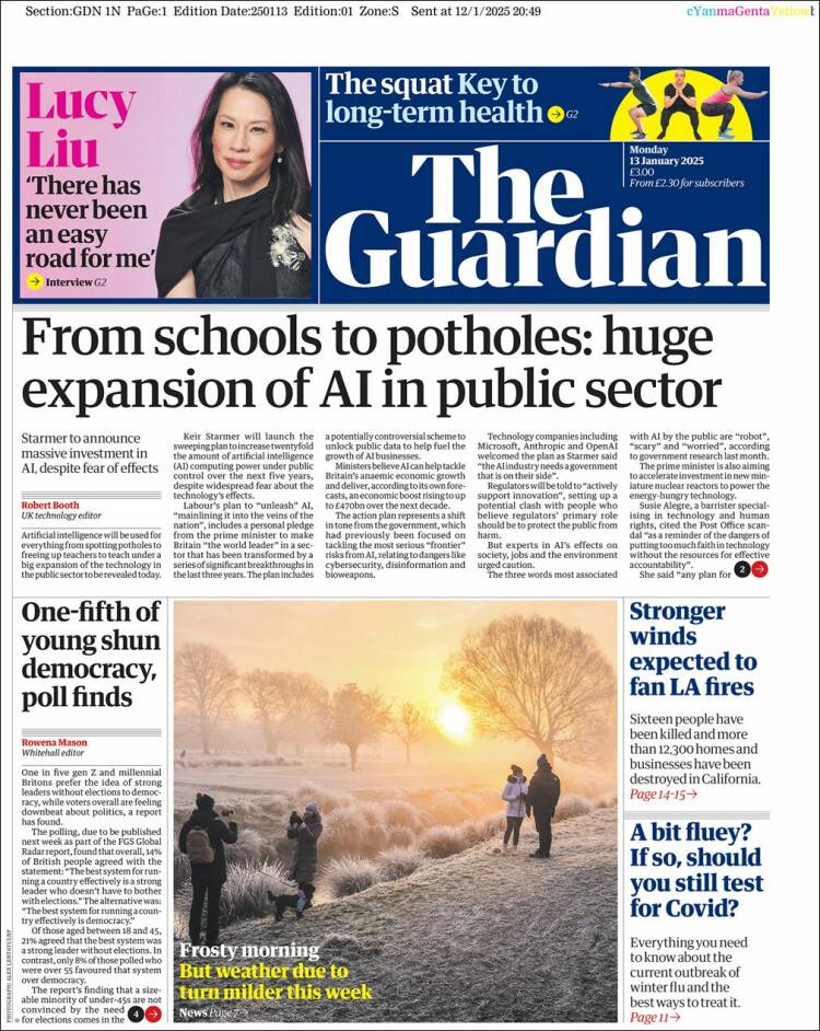 the guardian
