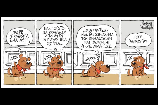 kare-anastasiou