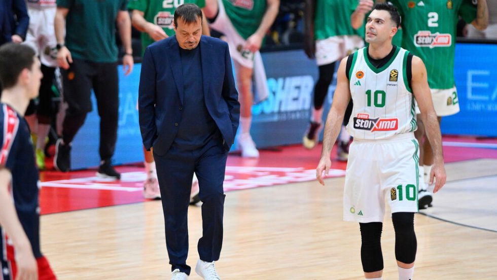pao-basket