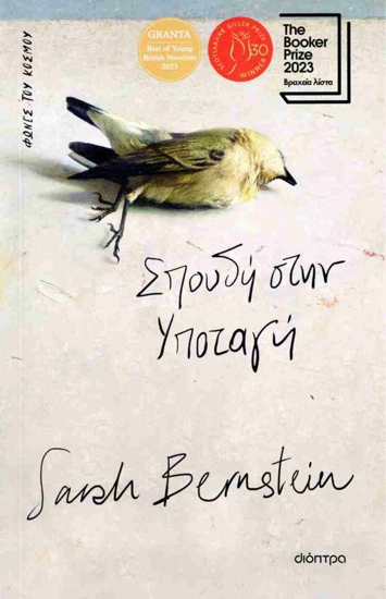 vivlio-bernstein