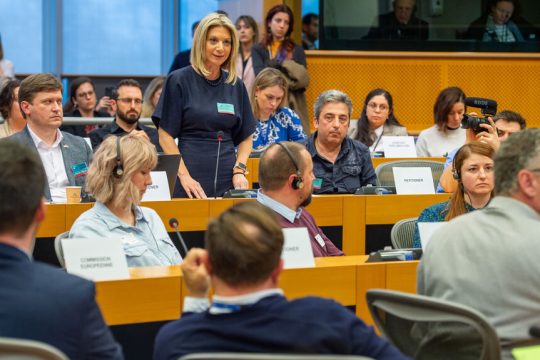 «Είμαστε βέβαιοι για τη συγκάλυψη, γι’ αυτό είμαστε εδώ» είπε η Μαρία Καρυστιανού μιλώντας όρθια μπροστά στους ευρωβουλευτές όλων των χρωμάτων