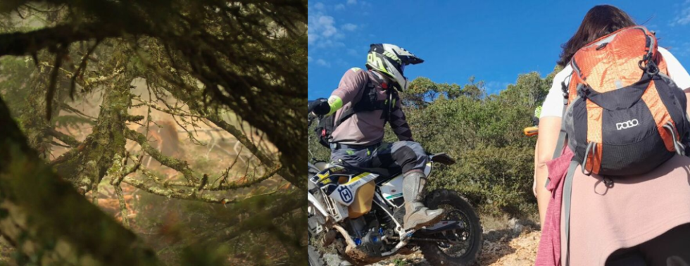 Στο βάθος διακρίνεται αχνά κίνηση μηχανής enduro εντός του ορεινού όγκου της Πάρνηθας. Δεξιά, πεζοπόροι αντιμέτωποι με μοτοσικλετιστές σε πεζοπορικό μονοπάτι, σε περιοχή που εντάσσεται στη ζώνη απόλυτης προστασίας Α1
