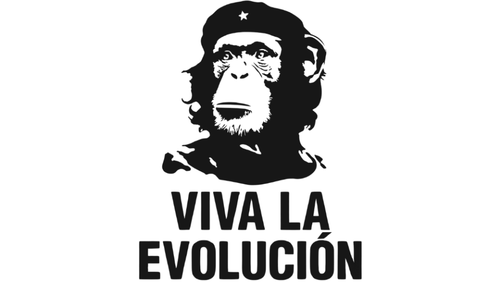 Evolution