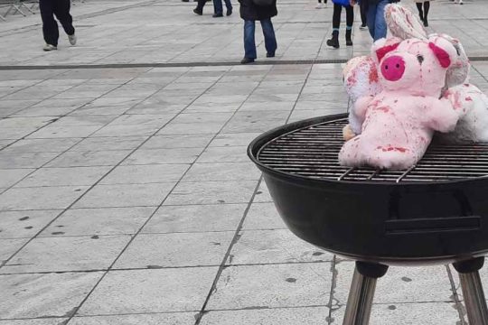 Vegan_Aktivistes_Tsiknopempti_1020_2