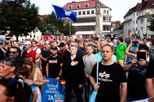 AfD Γερμανία