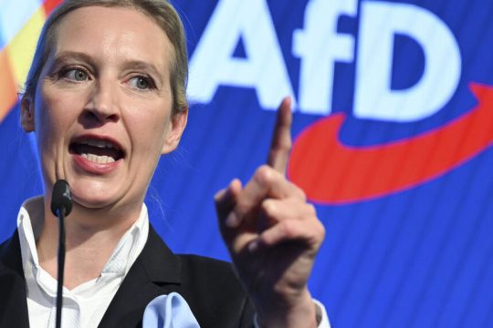 το γερμανικό φιλοναζιστικό κόμμα AfD
