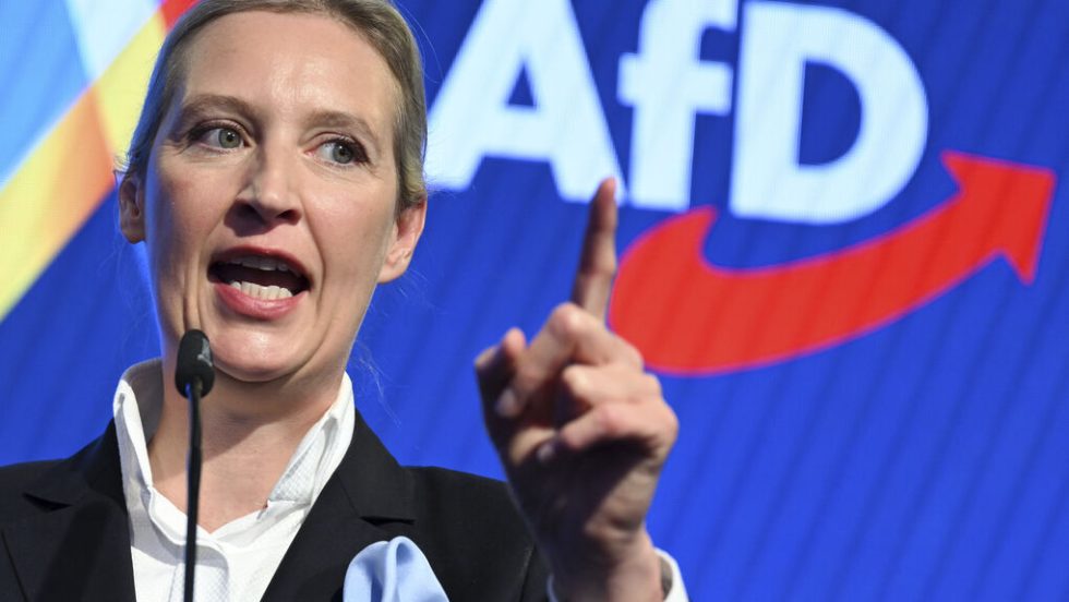 το γερμανικό φιλοναζιστικό κόμμα AfD