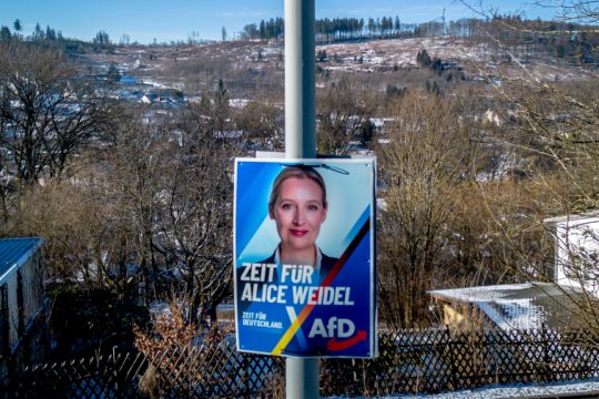 AfD Γερμανία
