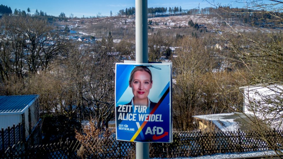AfD Γερμανία
