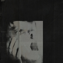 album-ditz