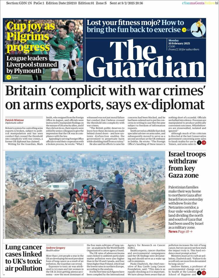 the guardian