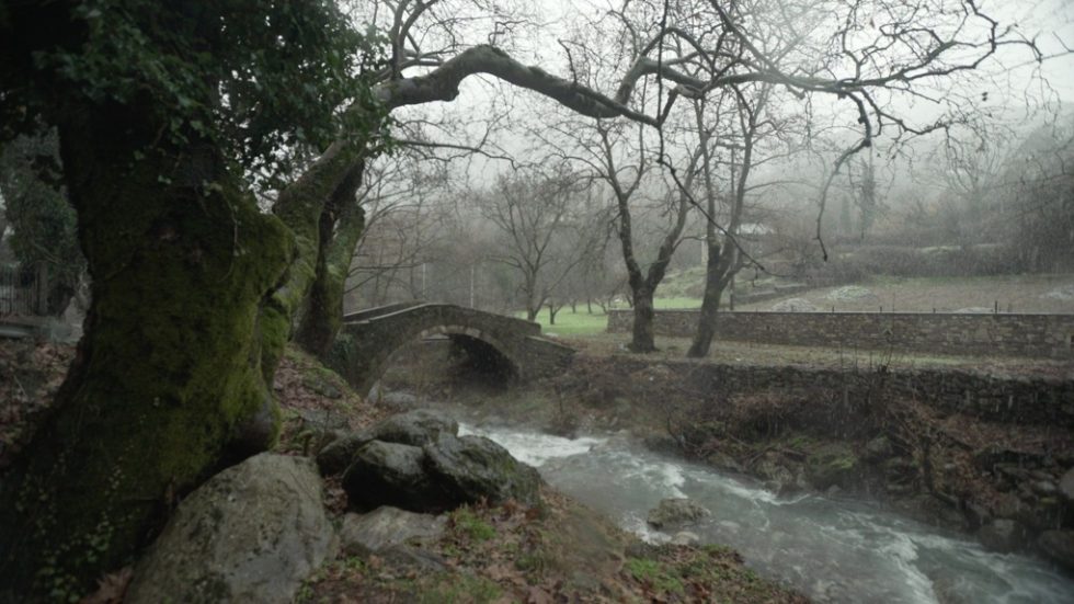 tainia-lenaki